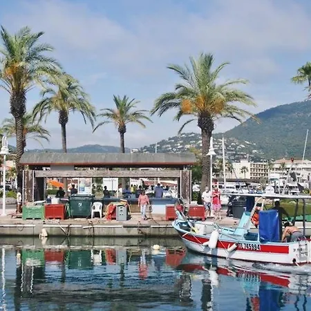 Spacieux Avec Piscine Et Parking Pres De La - Fr-1-251-906 Le Lavandou