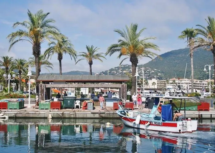 Spacieux Avec Piscine Et Parking Près De La - Fr-1-251-906 Le Lavandou